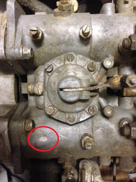 Solex 1.jpg
