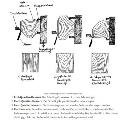 Quelle: BauBeaver &quot;Furnierholz und Furniere &quot;