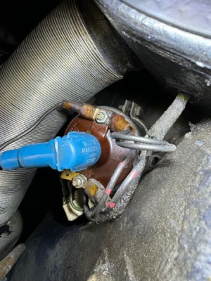 IMG_6773.jpg (135.17 KiB) 3709 mal betrachtet IMG_6773.jpg