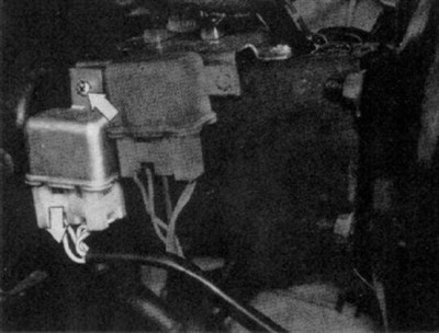 31541001_z.jpg